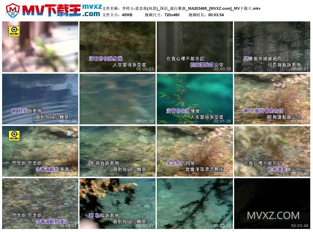 李玲玉-思念你(风景)_国语_流行歌曲_MA203495